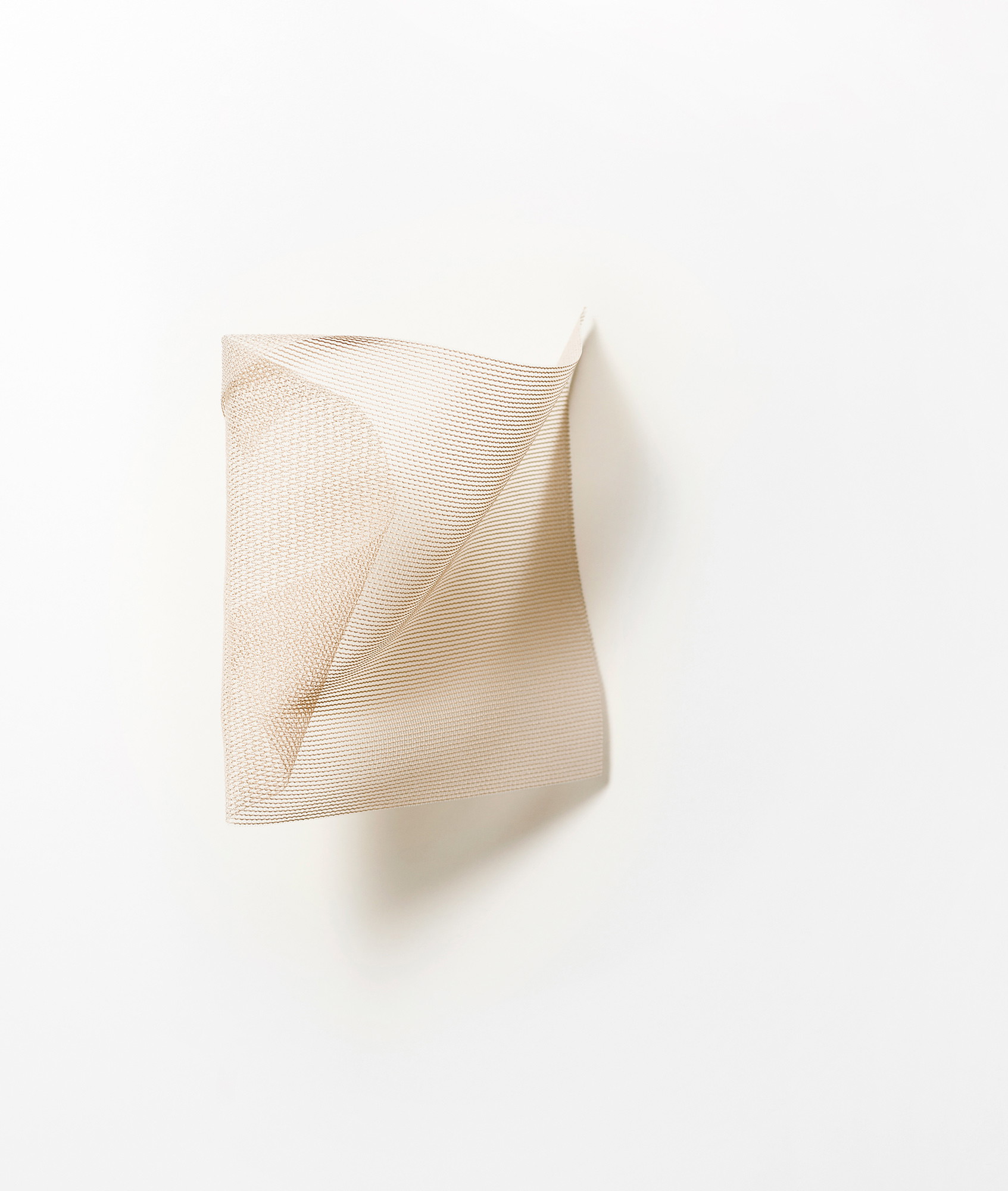 Zen Light 007
