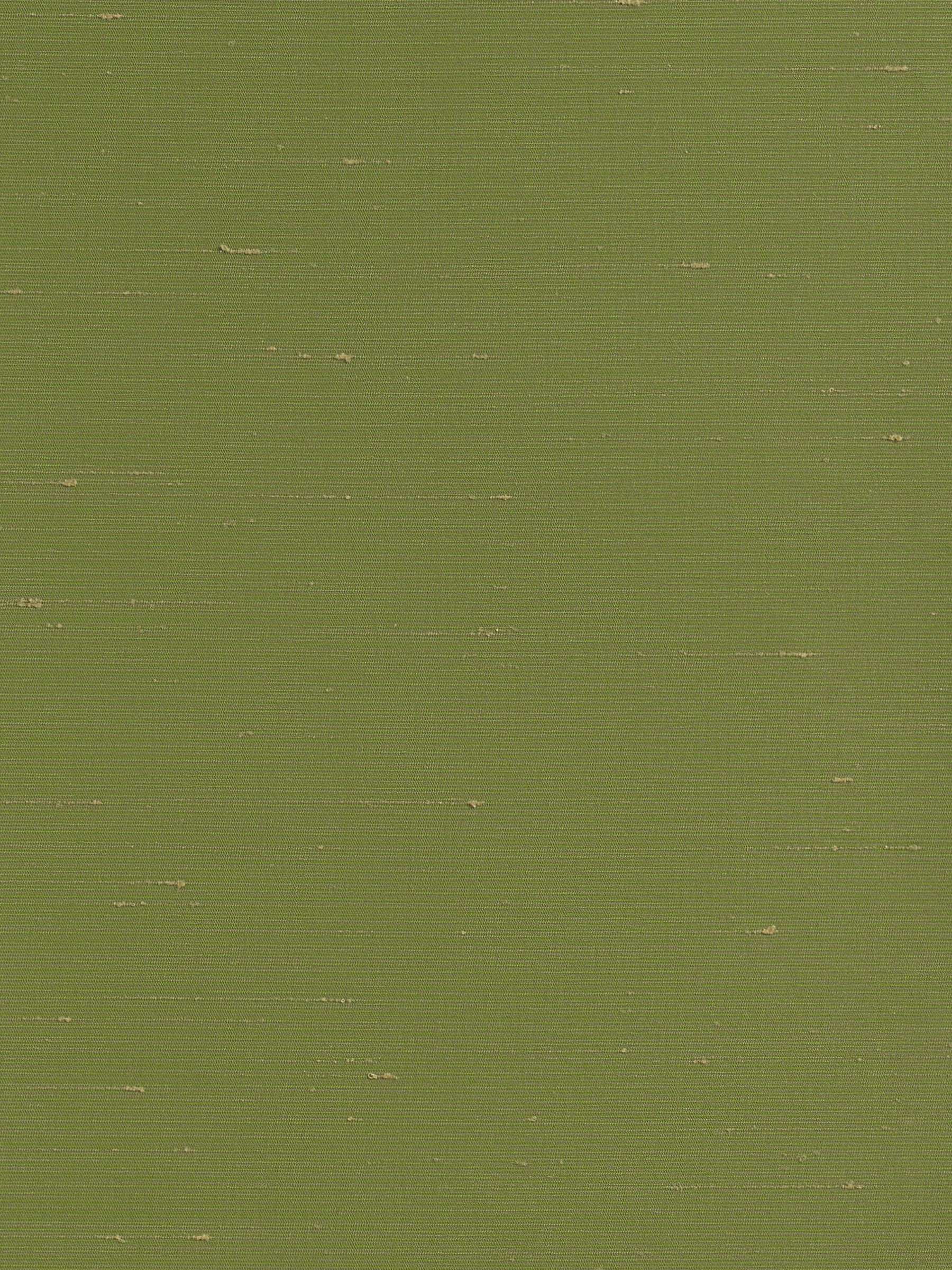 Sibilla Wall 018