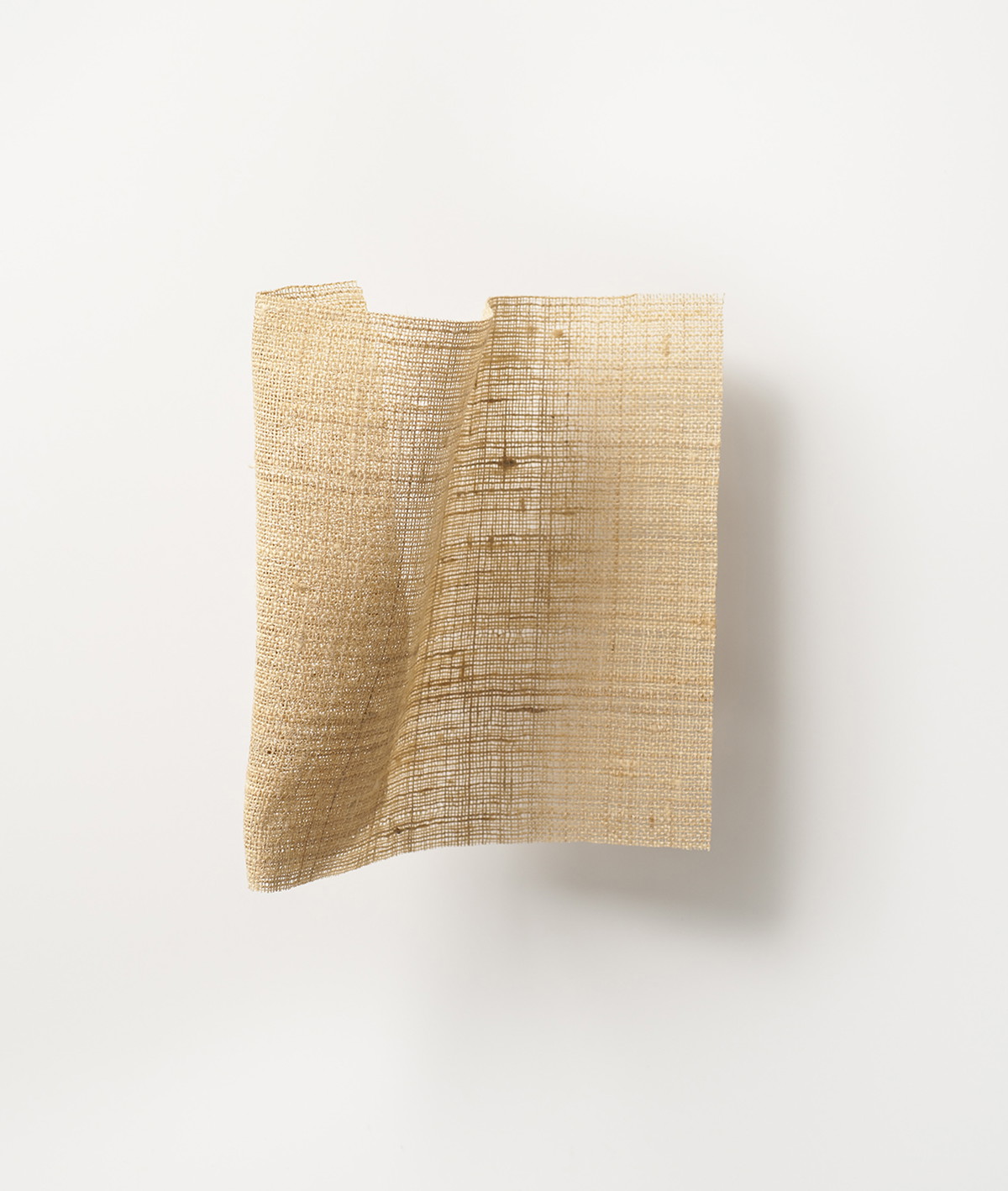 Weave Effect Vibrant plain weave in tussah silk and linen A Forest — Dedar